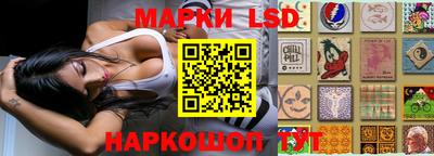 гидропоника Кулебаки