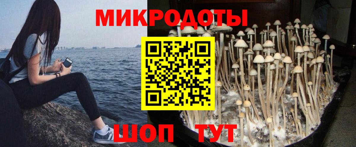 Псилоцибиновые грибы мухоморы Звенигород